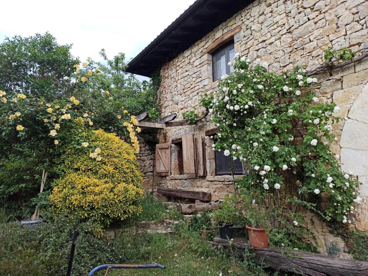 Casa Rural Ttipiaenea Landetxea Ariz  Ngoại thất bức ảnh