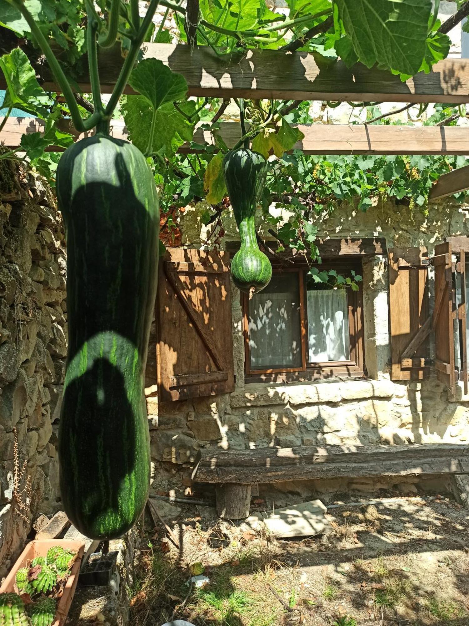 Casa Rural Ttipiaenea Landetxea Ariz  Ngoại thất bức ảnh